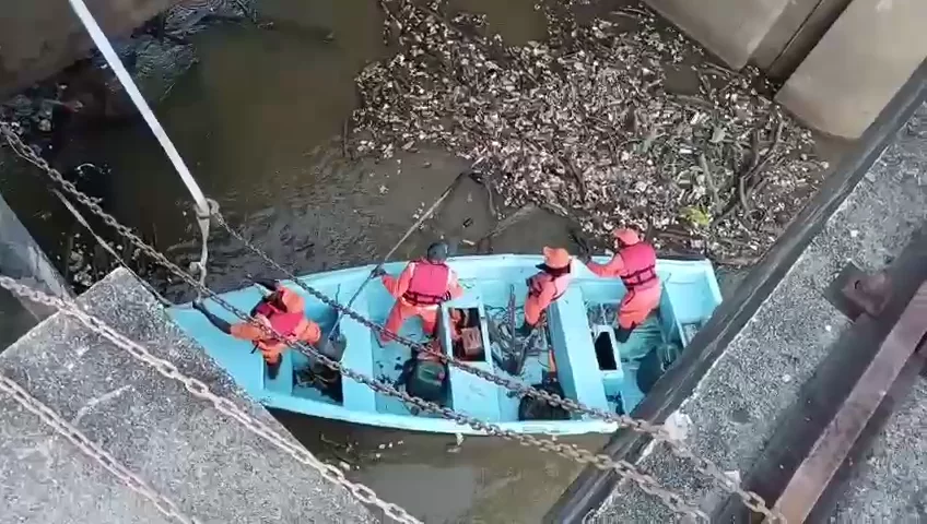 WhatsApp Video 2026-04-01 at 8.54.23 PM