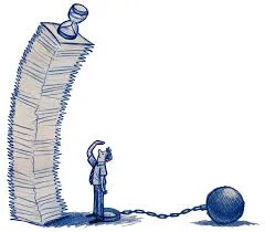 WhatsApp Image 2025-11-03 at 10.40.24 AM