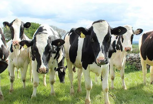 WhatsApp Image 2023-11-12 at 12.50.24 PM