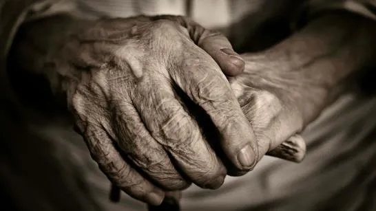 descubren-donde-se-produce-el-envejecimiento-en-el-cerebro-focus-0-0-546-307