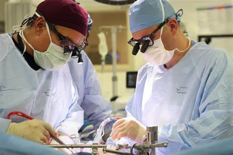 WhatsApp Image 2024-08-14 at 10.11.04 AM (1)