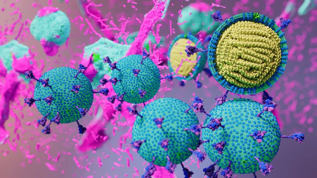 68c8dec6e9ff7171400d0ab2