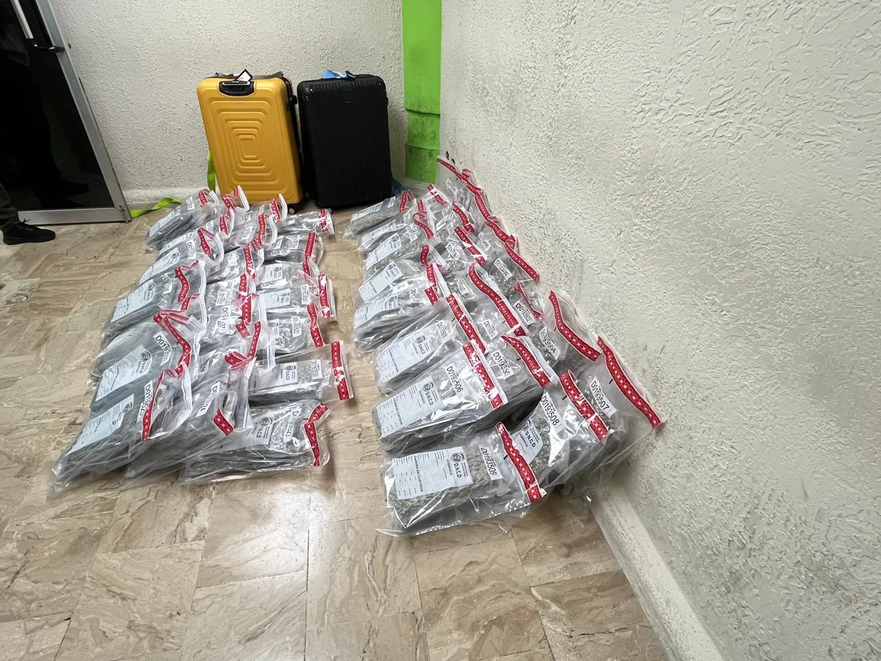 WhatsApp Image 2025-03-01 at 10.58.40 AM