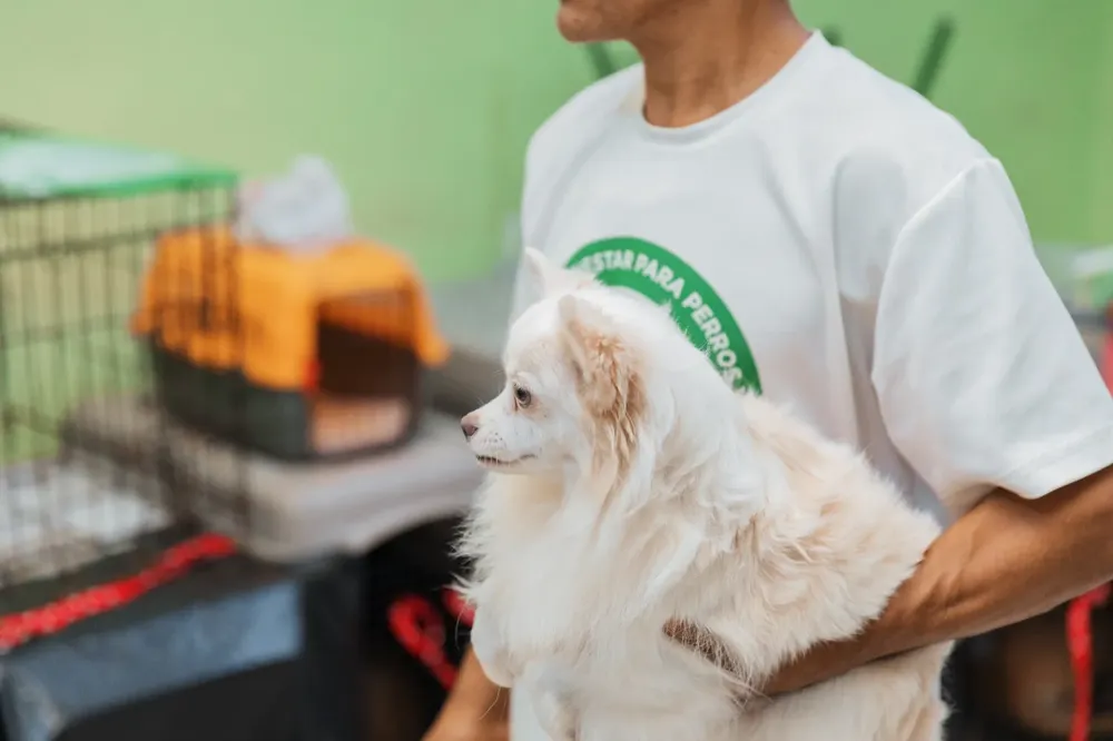 WhatsApp Image 2024-12-02 at 4.46.47 PM