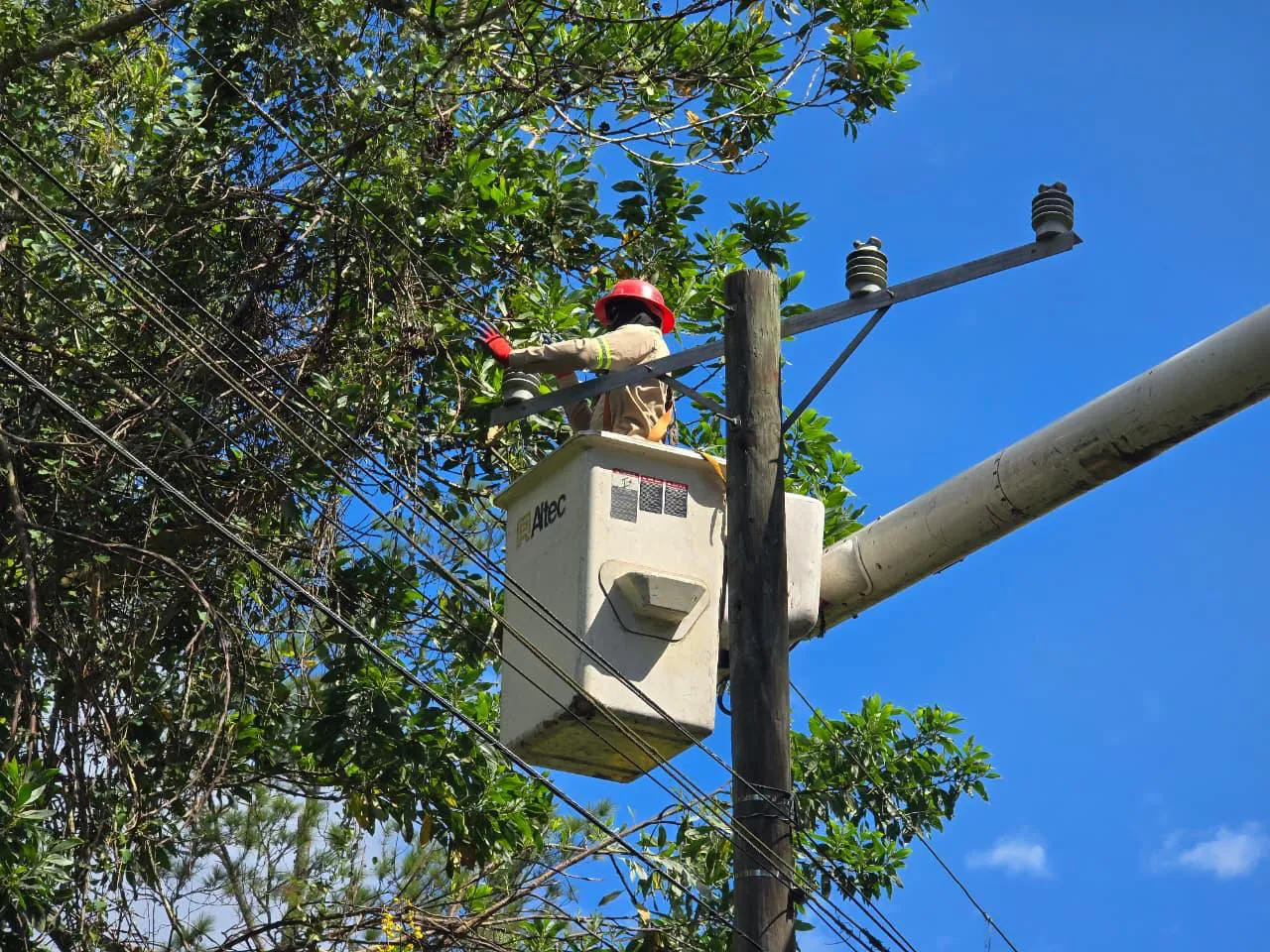 WhatsApp Image 2025-11-13 at 11.10.22 AM