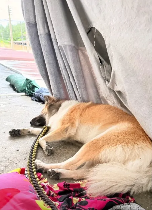 6936c13c59bf5b1ca13434ab