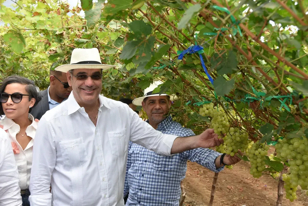 WhatsApp Image 2025-04-03 at 3.07.04 PM