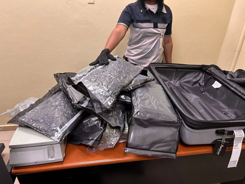 WhatsApp Image 2024-04-27 at 3.27.19 PM