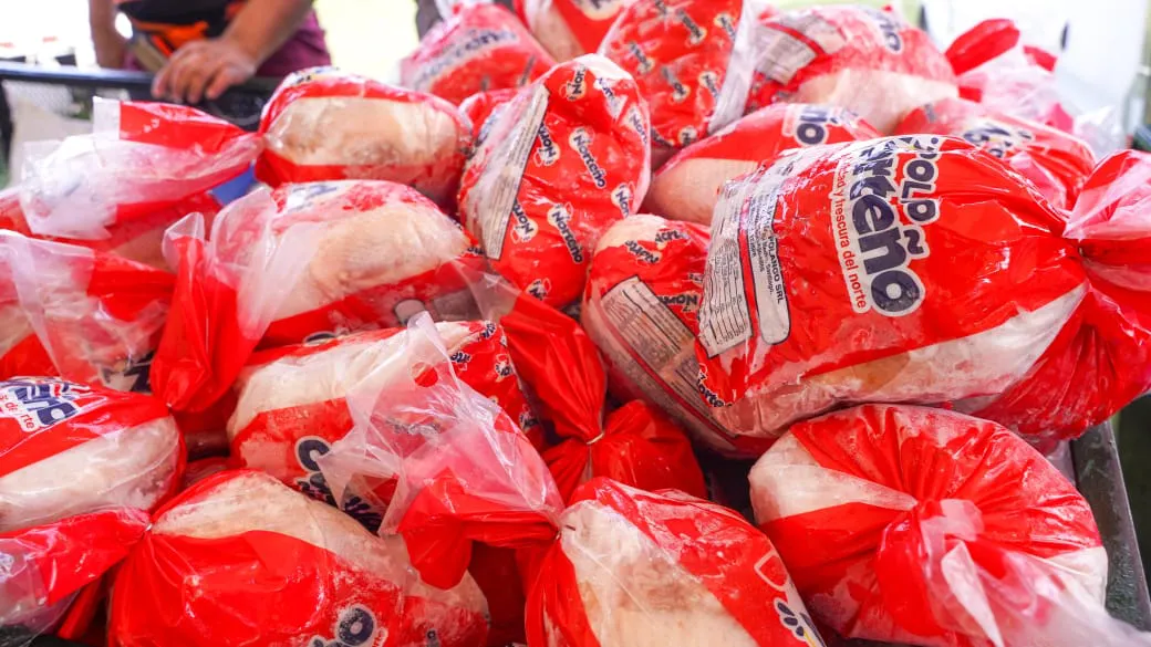 WhatsApp Image 2025-11-29 at 11.10.26 AM