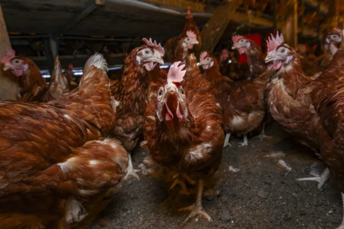 GettyImages-2227762181-696x464