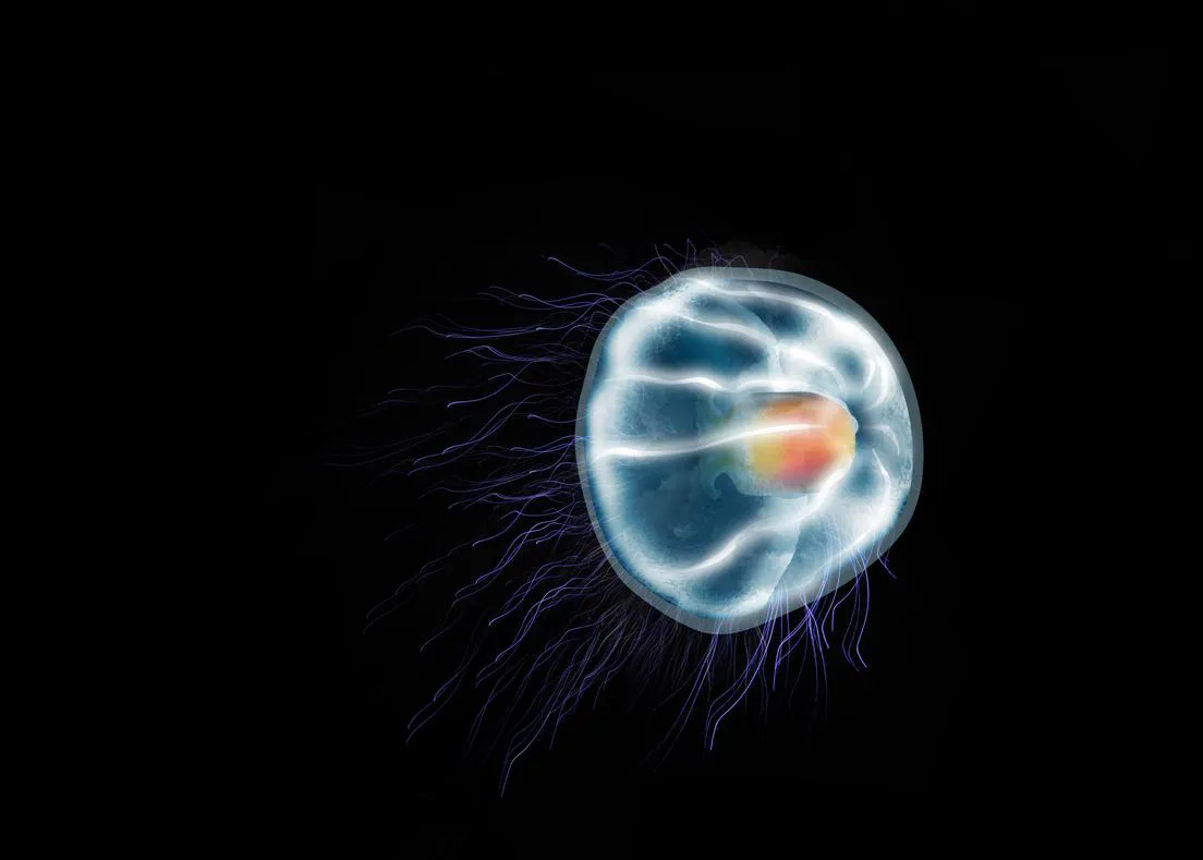 69528a8ee9ff7116ed7b5ed2