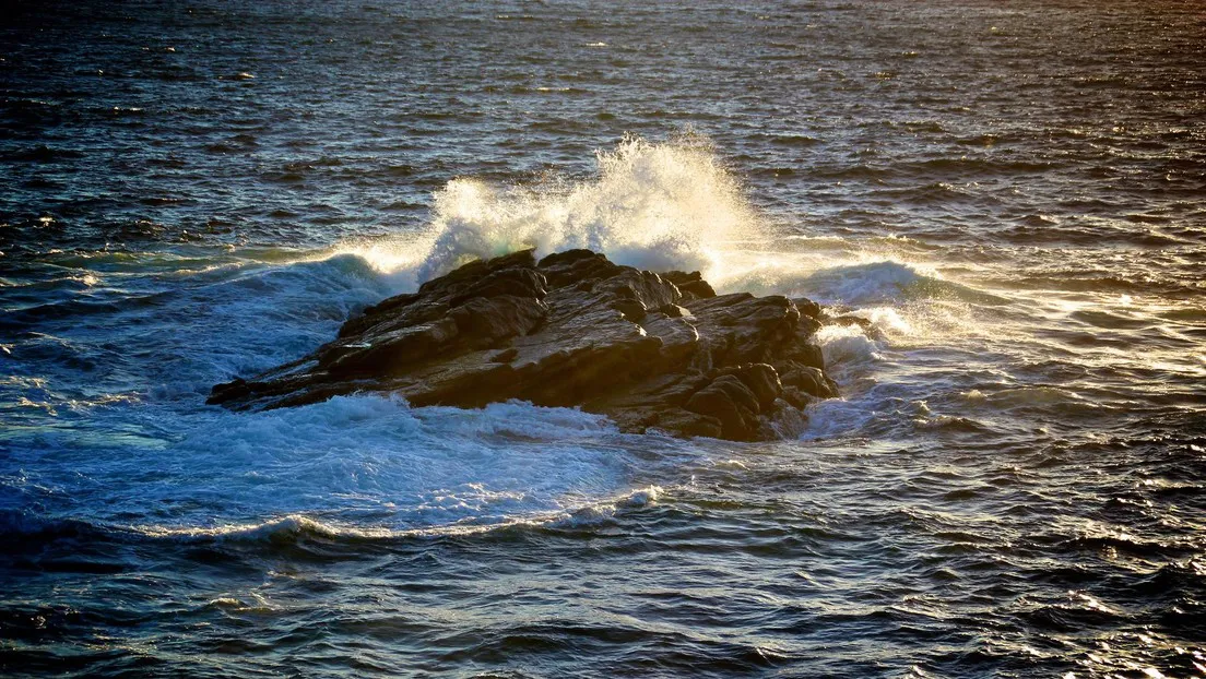 69818745e9ff7116fc1eb37e