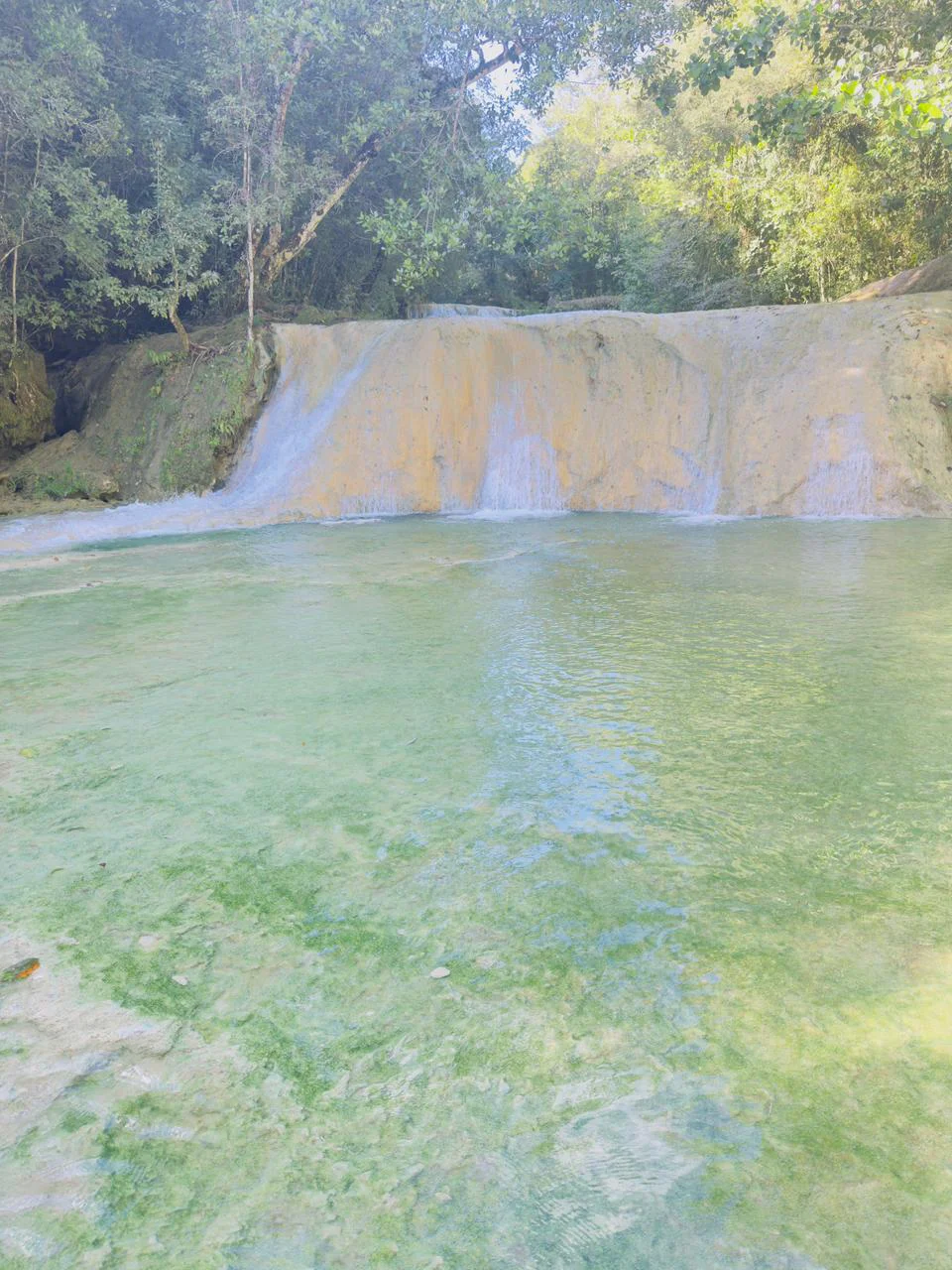 WhatsApp Image 2026-03-31 at 2.46.15 PM