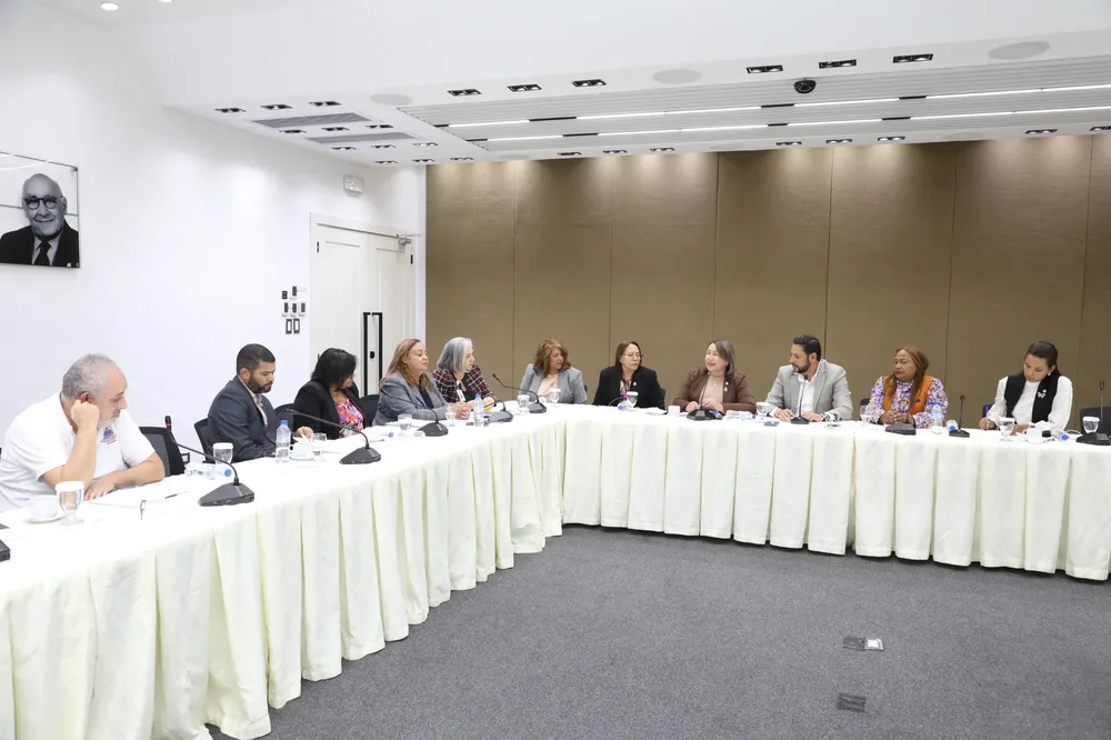 Comisión Especial de diputados
