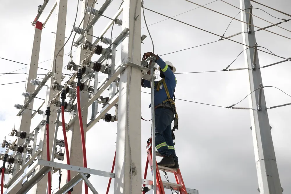 WhatsApp Image 2024-12-19 at 7.40.15 AM