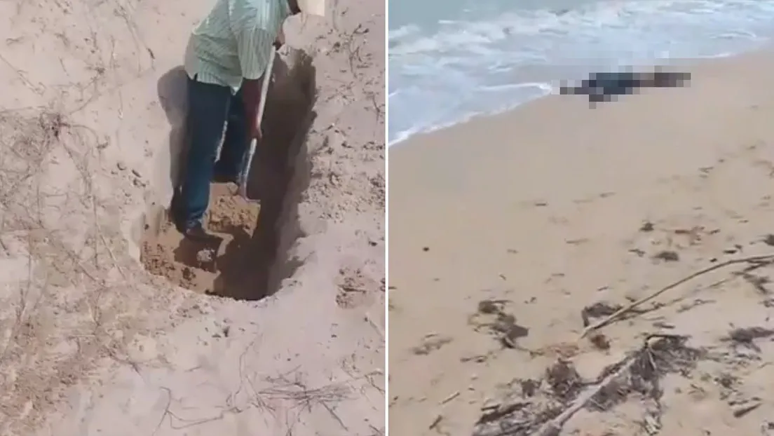 6939b46559bf5b35d07b9a87