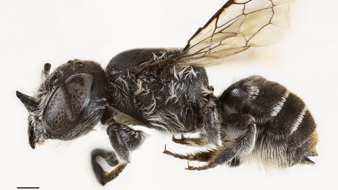 6913af1059bf5b60462dd3a1