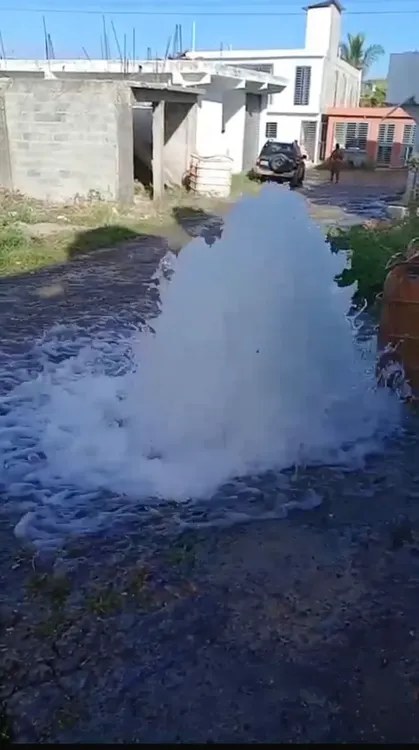 WhatsApp Image 2026-02-12 at 4.04.50 PM