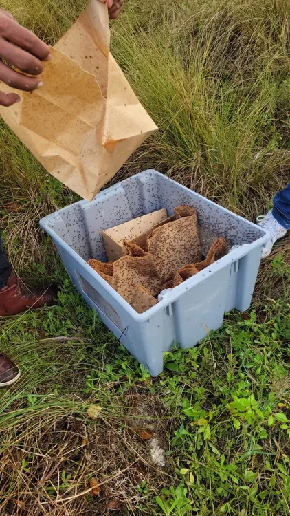 WhatsApp Image 2024-02-20 at 8.16.17 AM