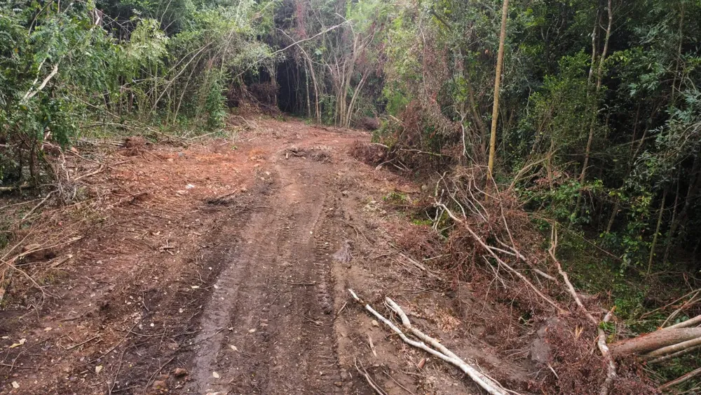 WhatsApp Image 2026-03-30 at 6.27.20 PM