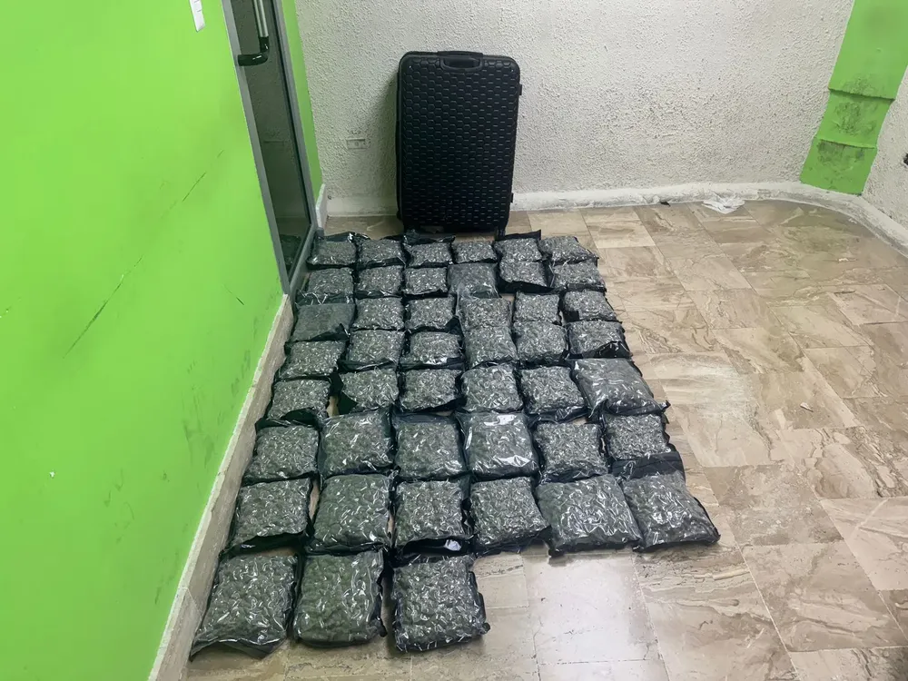 WhatsApp Image 2025-03-04 at 10.07.23 AM