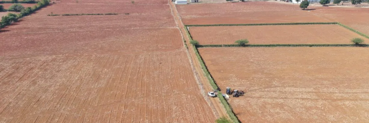 Preparación tierras Puerto Plata (1)