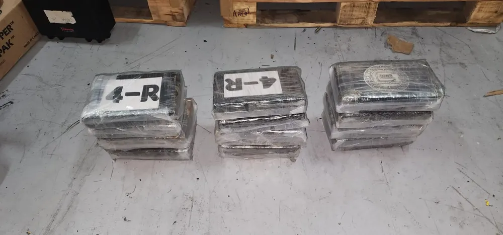 WhatsApp Image 2023-06-27 at 4.06.48 PM