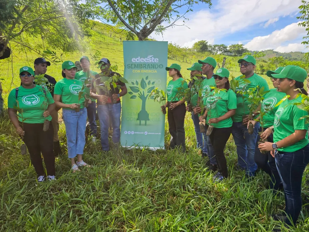 EDEESTE, reforestación