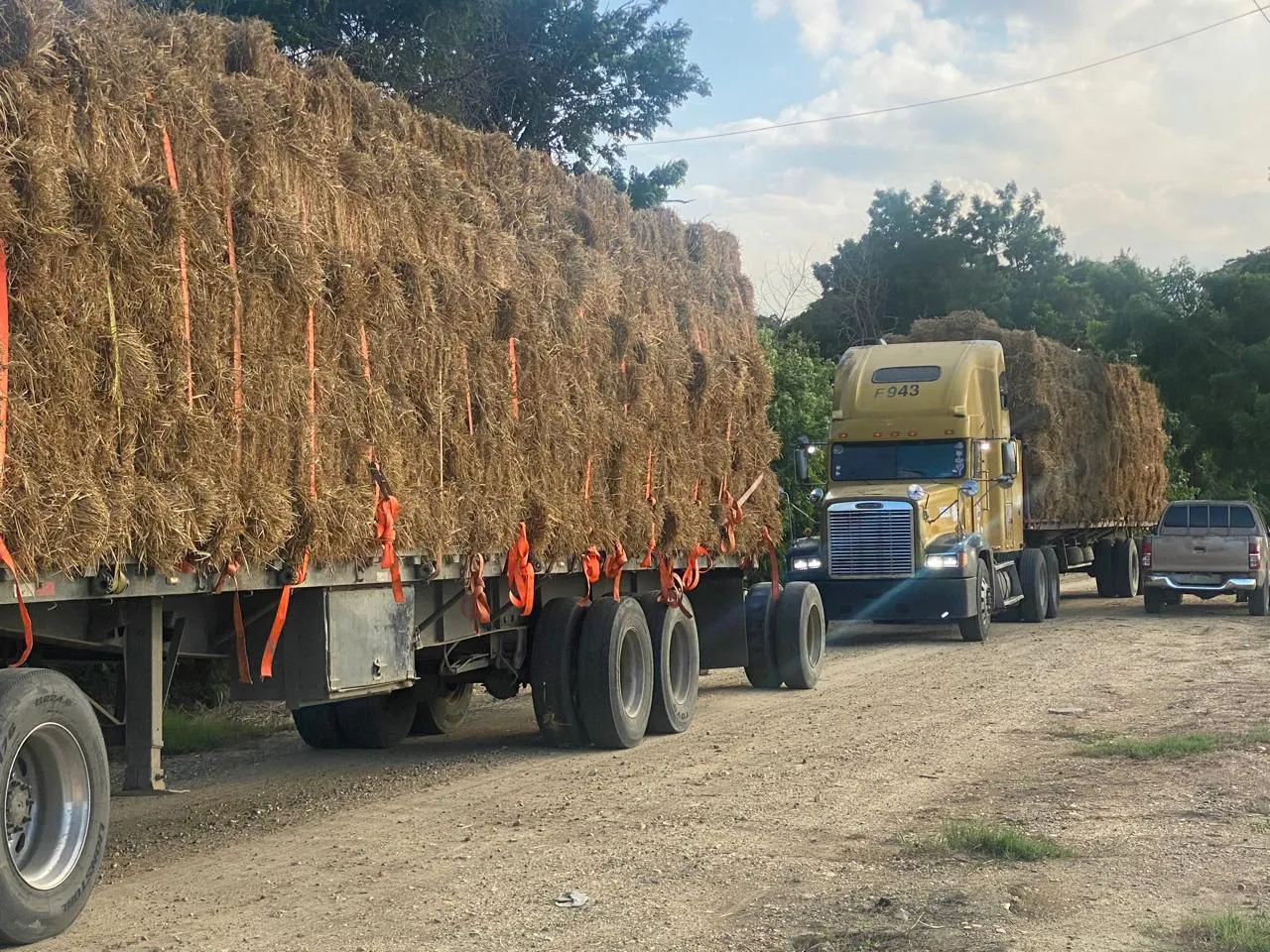 WhatsApp Image 2024-10-24 at 5.15.39 PM