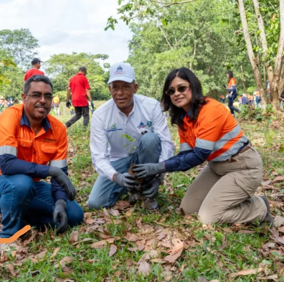 Siembras de plantas
