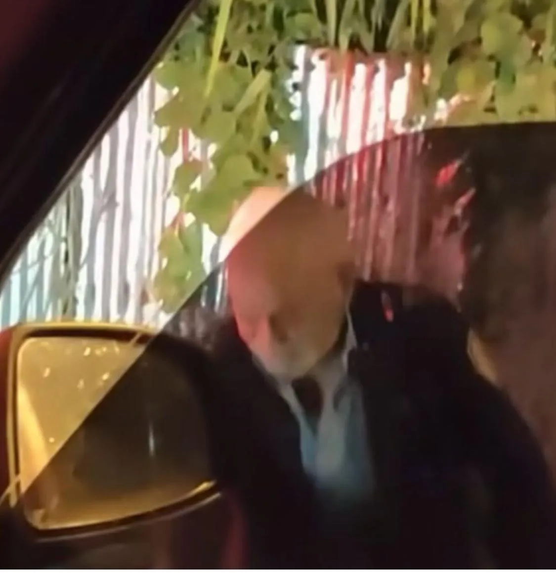 WhatsApp Image 2024-09-08 at 7.54.45 PM