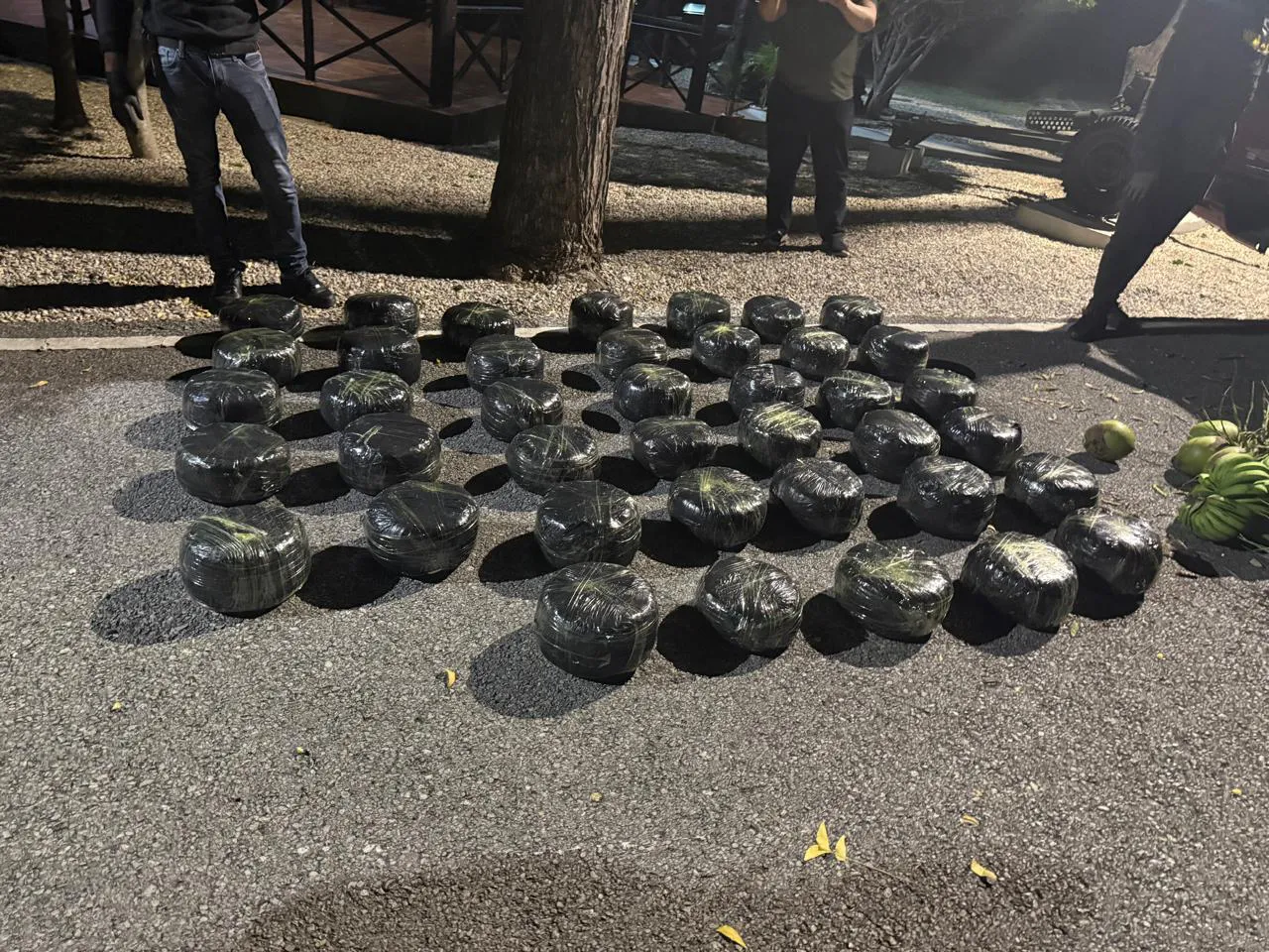 WhatsApp Image 2026-01-12 at 9.07.26 AM (1)