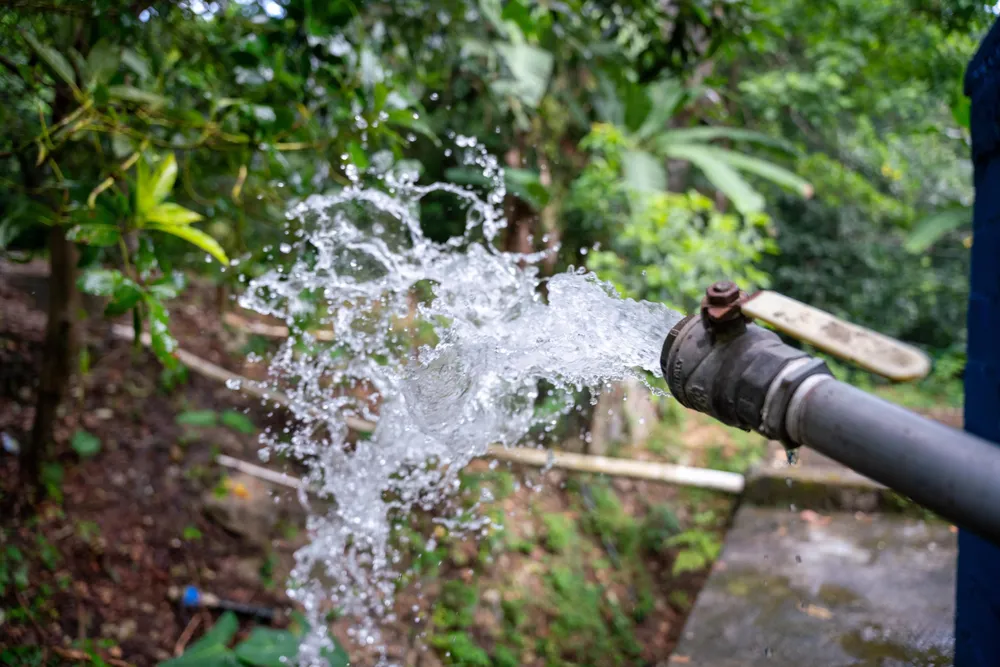Agua