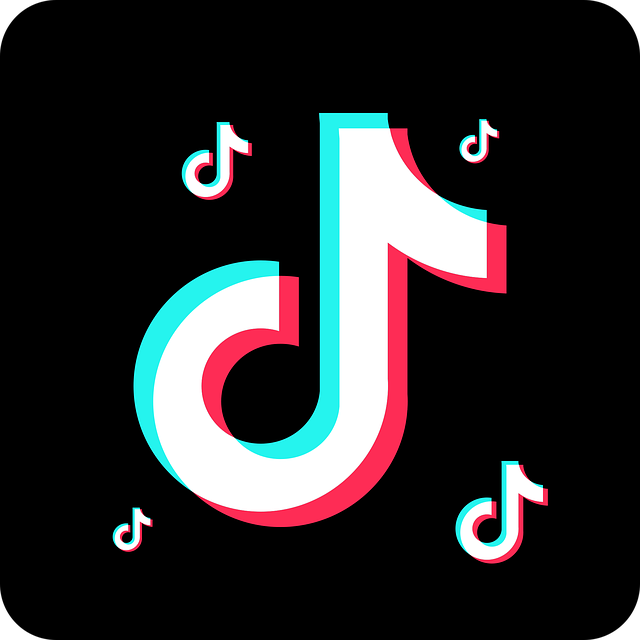 tiktok-7002882_640