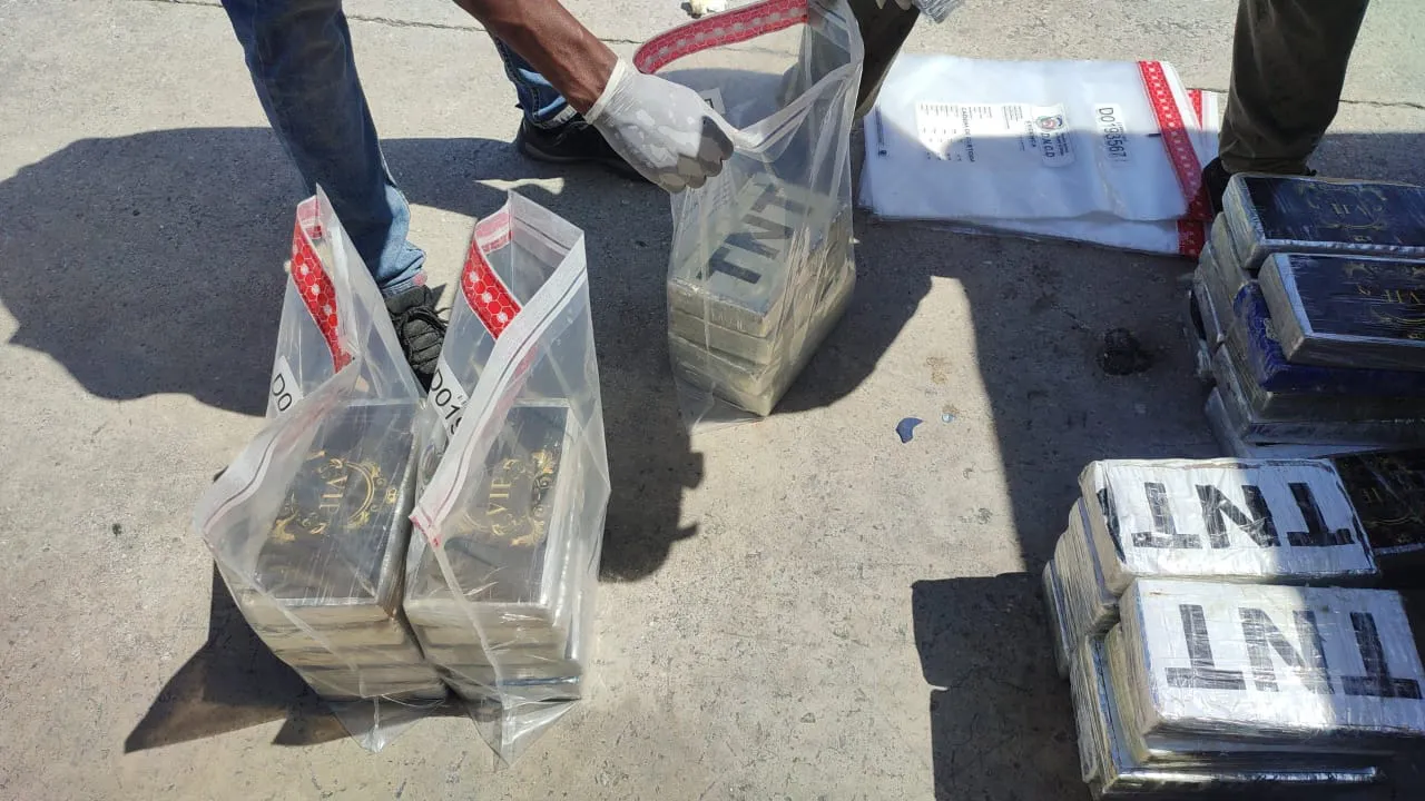 39b9a5b2-085f-4d9f-ae4c-f515a82f62b1