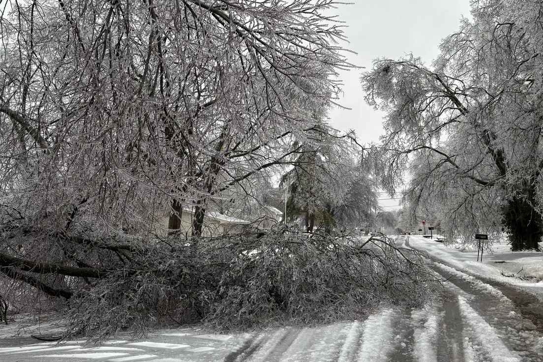 69768e2059bf5b551e324247