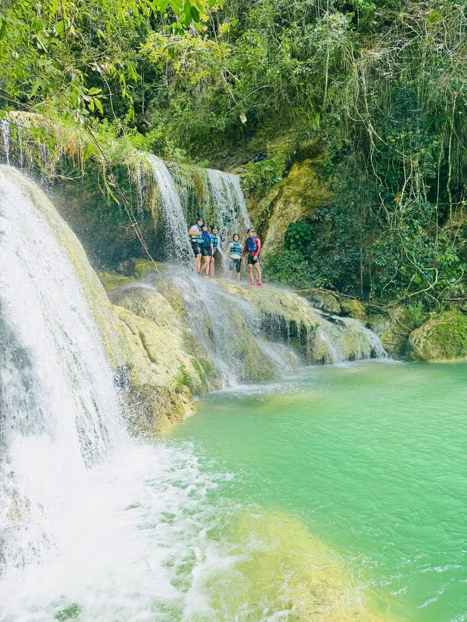 WhatsApp Image 2026-03-31 at 2.46.13 PM