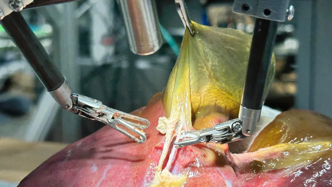 6870be9de9ff7158755fc11f